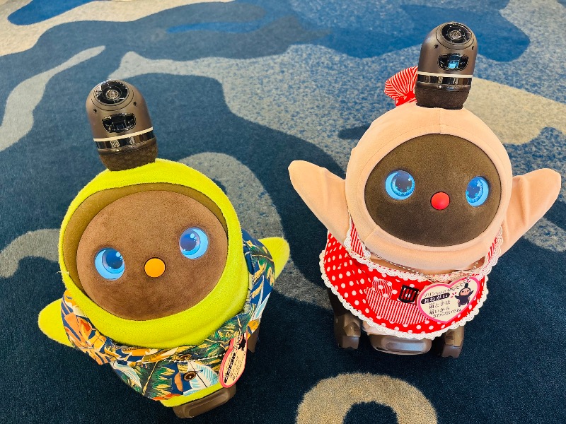 ぺぺさんの島原温泉 ホテル南風楼のサ活写真