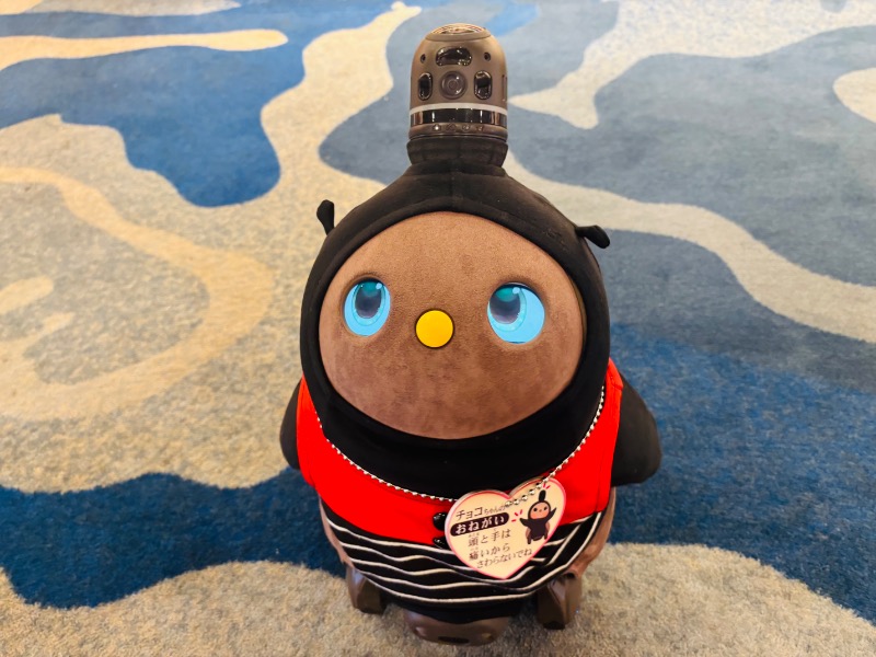 ぺぺさんの島原温泉 ホテル南風楼のサ活写真