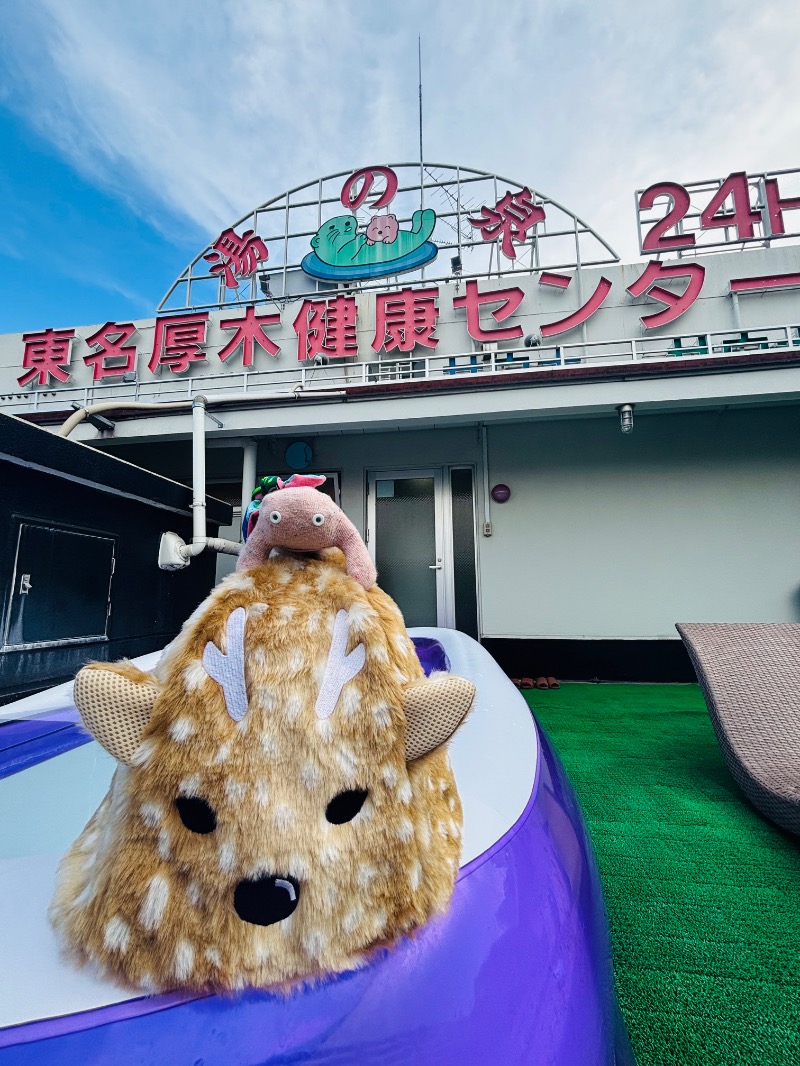 ぺぺさんの湯乃泉 東名厚木健康センターのサ活写真