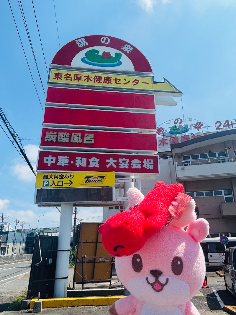 ぺぺさんの湯乃泉 東名厚木健康センターのサ活写真