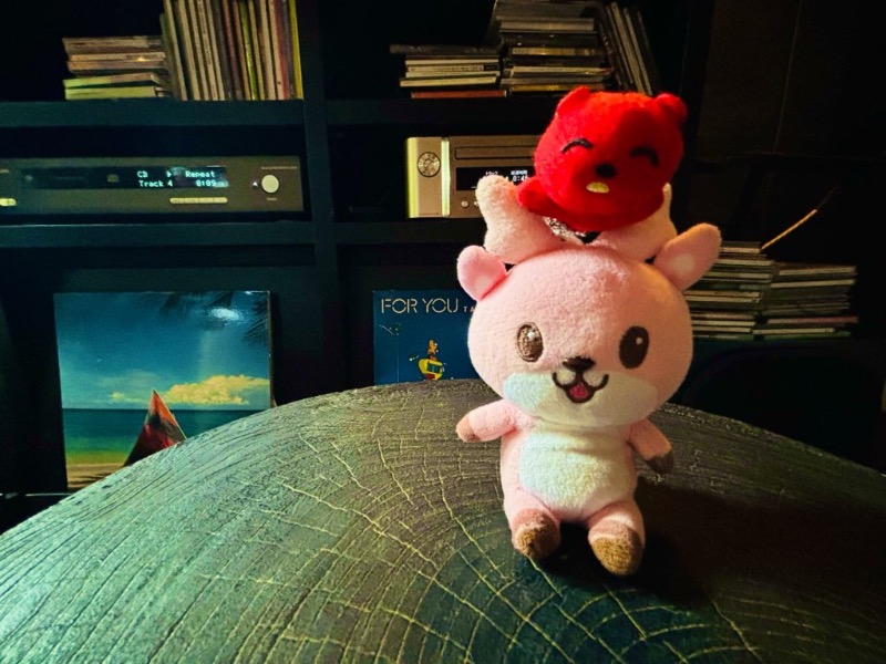 ぺぺさんのKINOSUKE  日間賀島 島のサウナのサ活写真