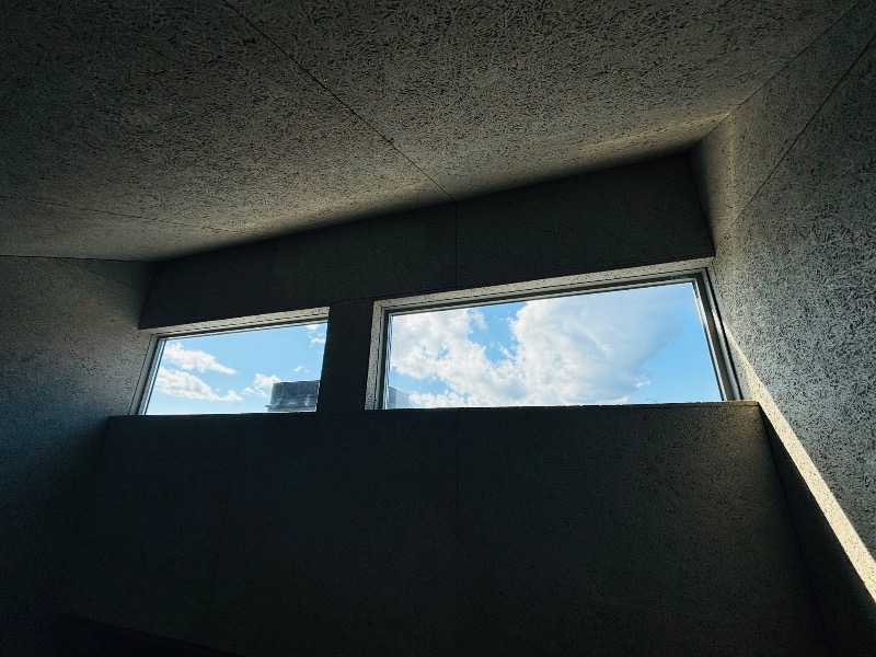 ぺぺさんのWALLOWS sauna&dinerのサ活写真