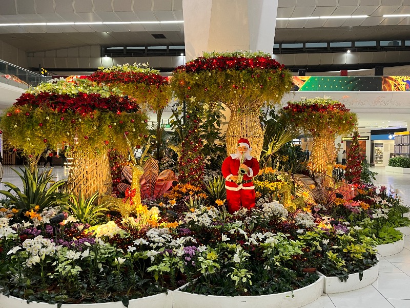 山﨑さんの極楽湯 宇都宮店のサ活写真