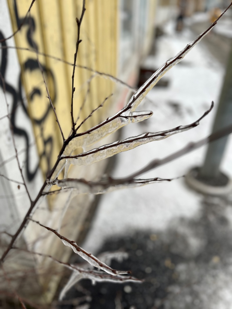 山﨑さんのRajaportin Saunaのサ活写真