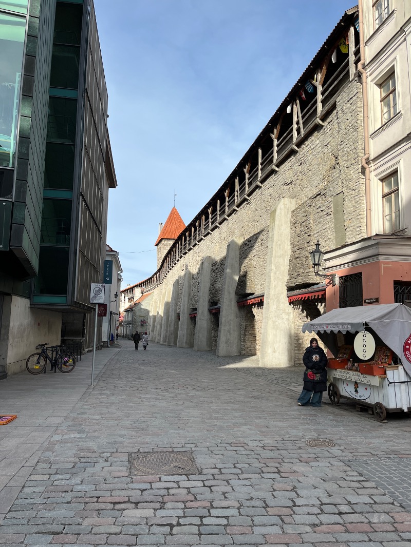 山﨑さんのMustamäe Elamus Spaのサ活写真