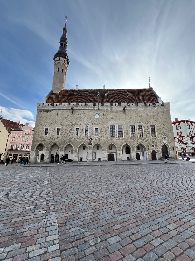 山﨑さんのMustamäe Elamus Spaのサ活写真