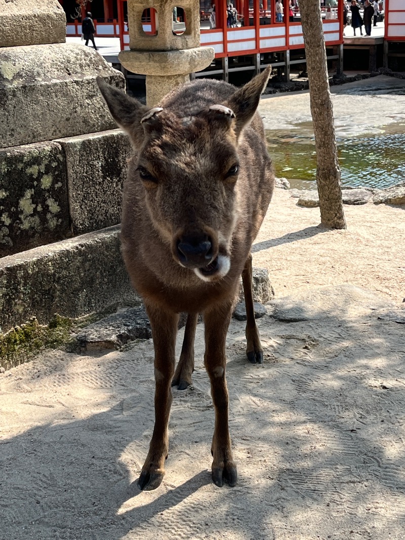 山﨑さんのグランドプリンスホテル広島 瀬戸の湯のサ活写真