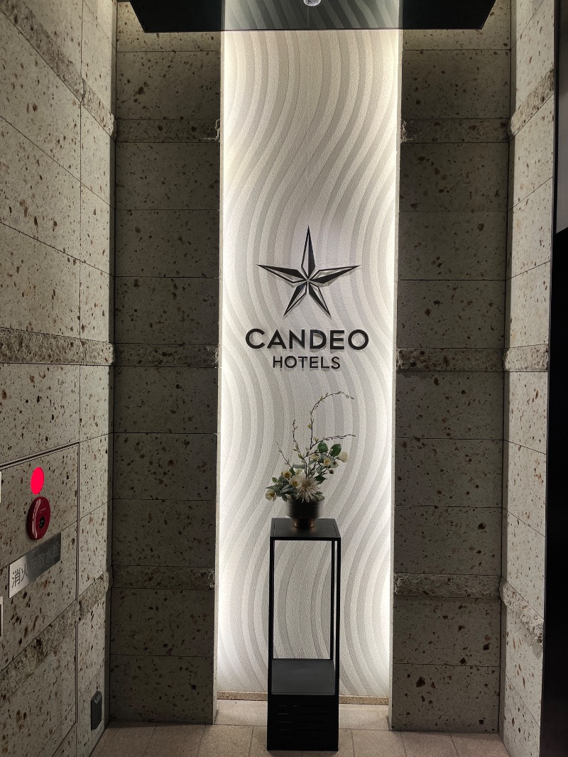 山﨑さんのカンデオホテルズ 東京新橋のサ活写真