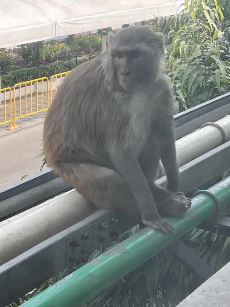 山﨑さんのDia Park Premier, Gurugramのサ活写真