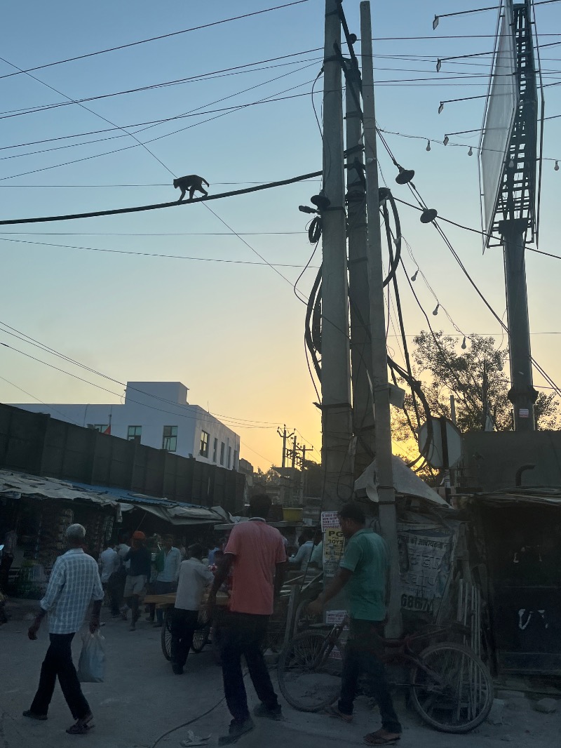 山﨑さんのDia Park Premier, Gurugramのサ活写真