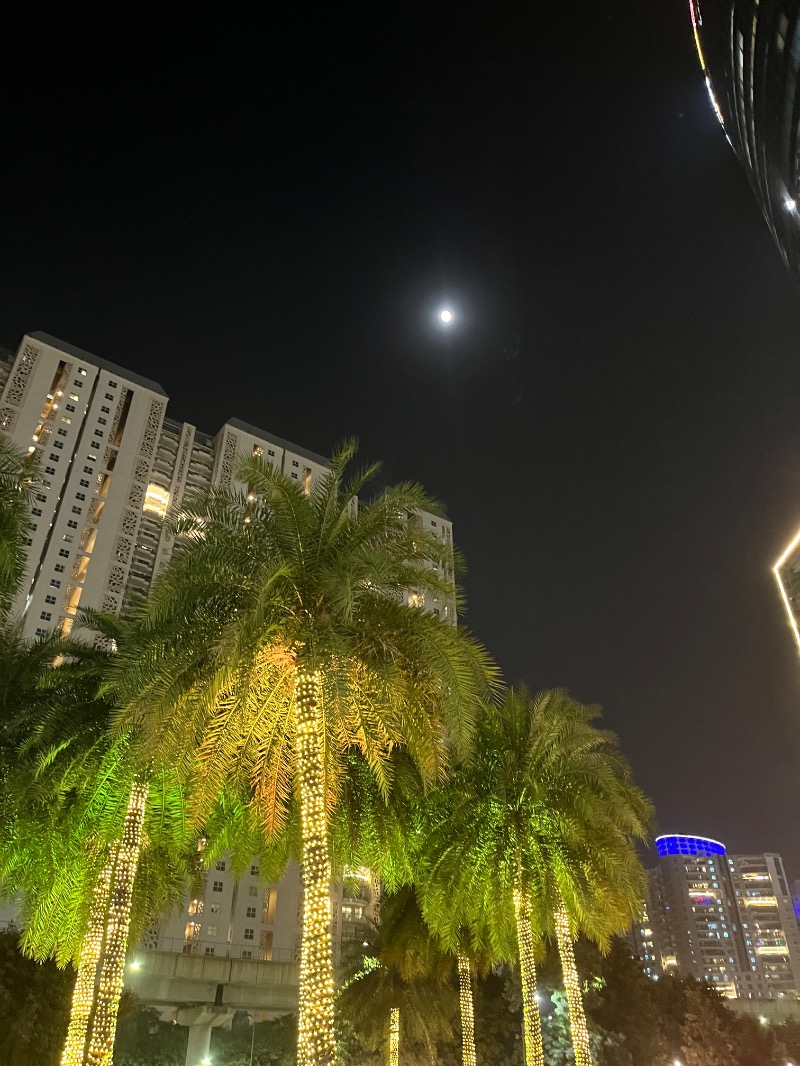 山﨑さんのDia Park Premier, Gurugramのサ活写真