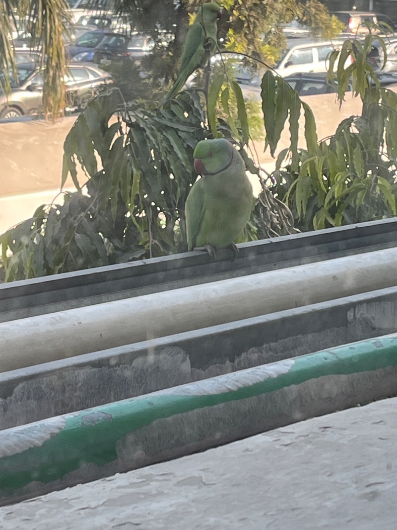 山﨑さんのDia Park Premier, Gurugramのサ活写真