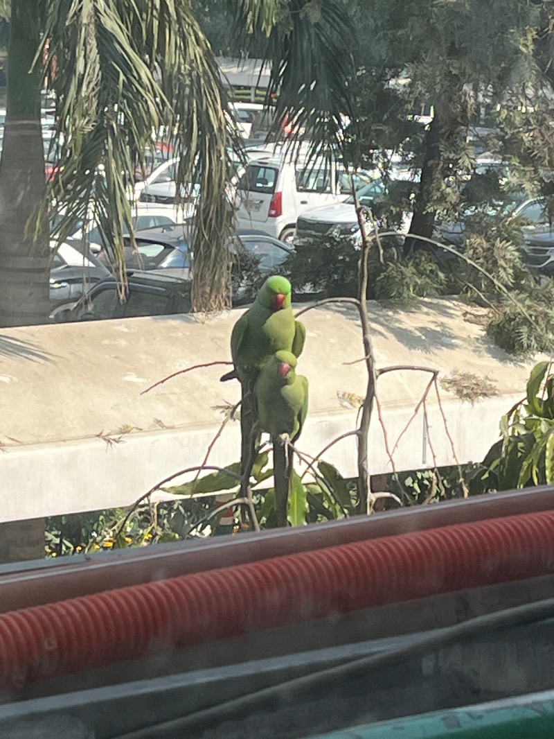 山﨑さんのDia Park Premier, Gurugramのサ活写真