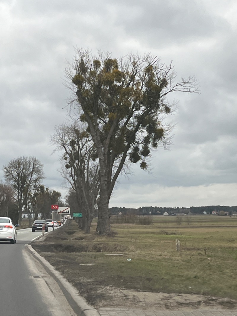 山﨑さんのHotel Mrągowo Resort&Spaのサ活写真