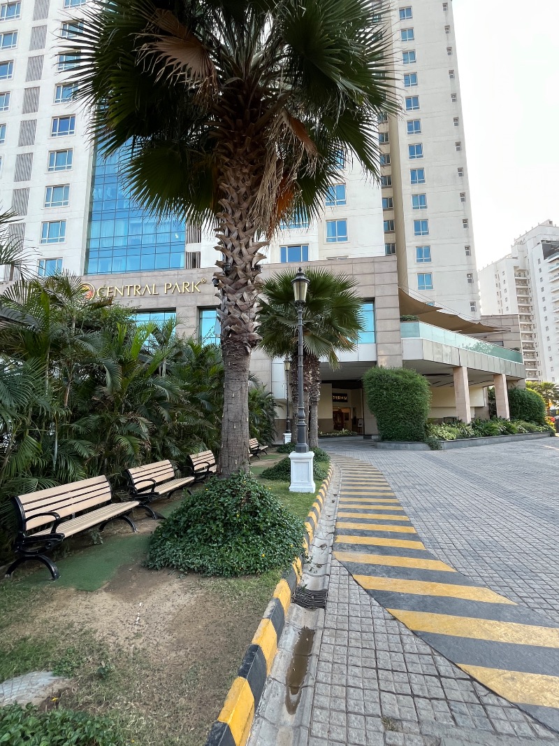 山﨑さんのSakura Townのサ活写真