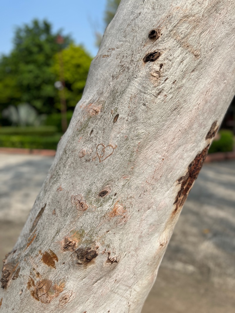 山﨑さんのThe Leela Ambience Gurugram Hotel & Residencesのサ活写真