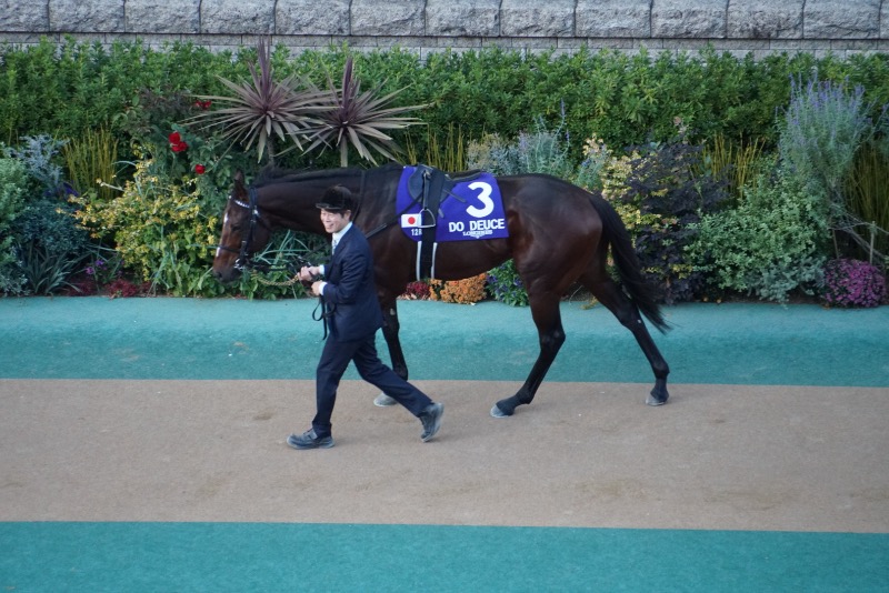 富士太平洋さんの朝日湯源泉ゆいるのサ活写真