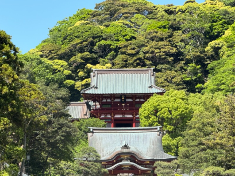 富士太平洋さんのスカイスパYOKOHAMAのサ活写真