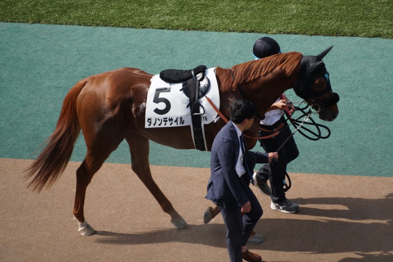 富士太平洋さんのスカイスパYOKOHAMAのサ活写真