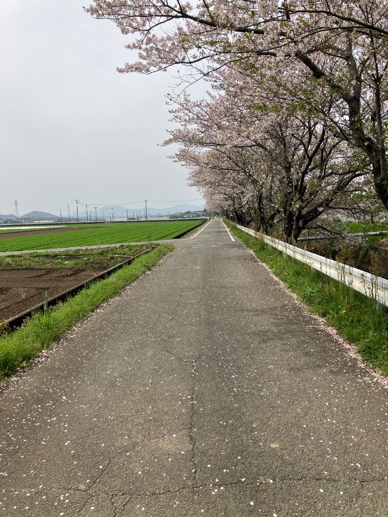 noritake_sunさんの菊池わくわく温泉のサ活写真