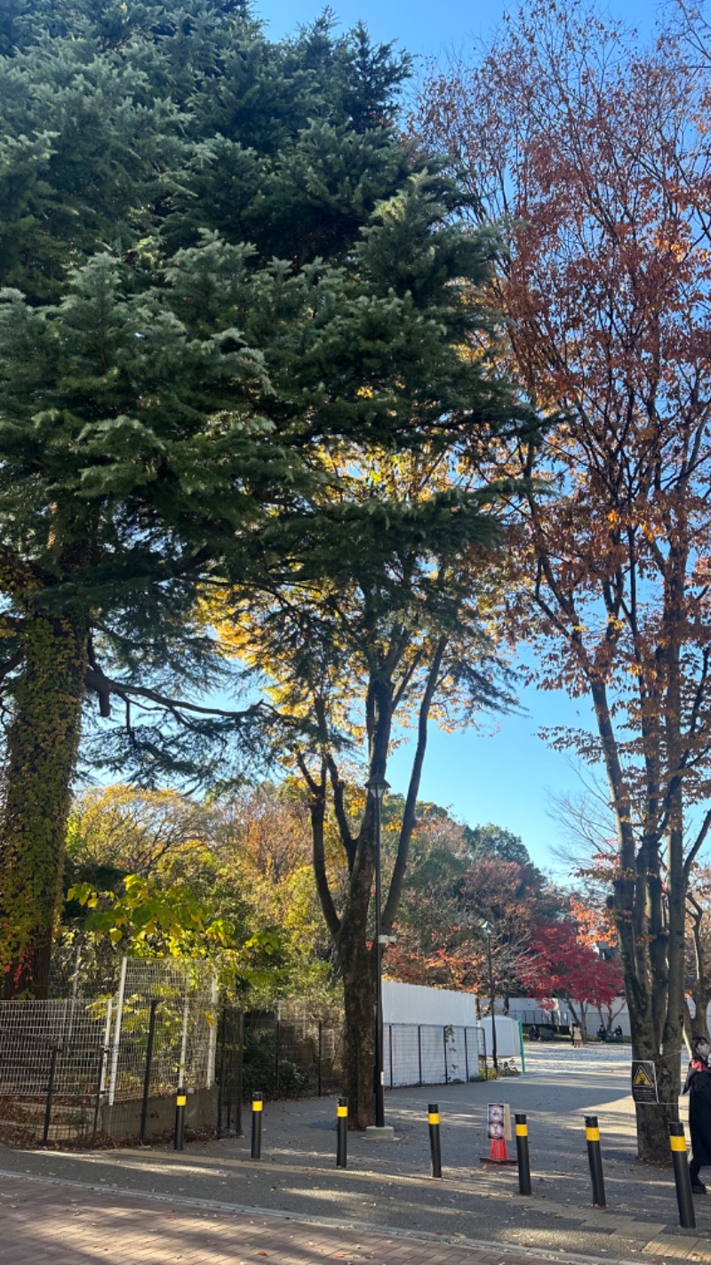 らぶりさんの豊島園 庭の湯のサ活写真