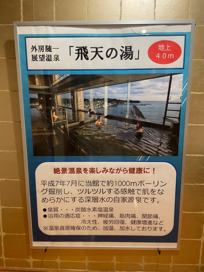 ナイスカロリーさんの三日月シーパークホテル勝浦 アクアパレスのサ活写真