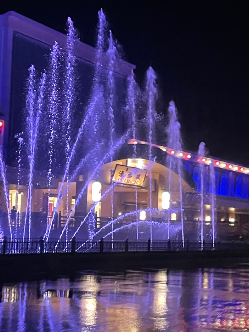 ナイスカロリーさんの東京湯楽城のサ活写真