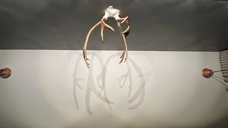 ラークさんのLapland Hotels Bulevardiのサ活写真