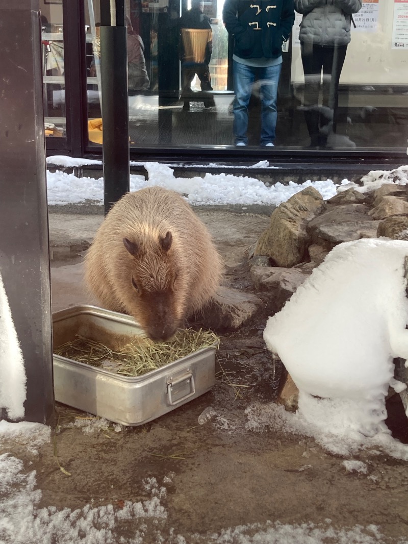 岩ひろみさんの石狩天然温泉 番屋の湯のサ活写真