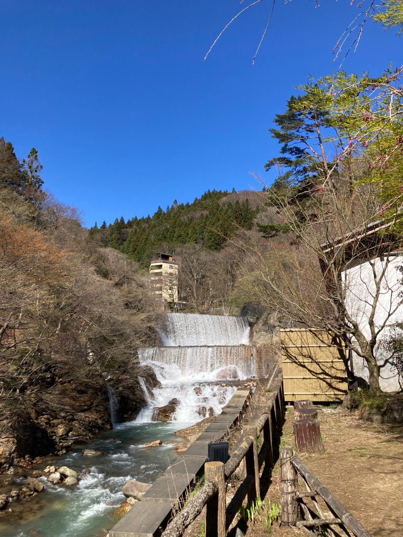 hachiさんの山水荘のサ活写真