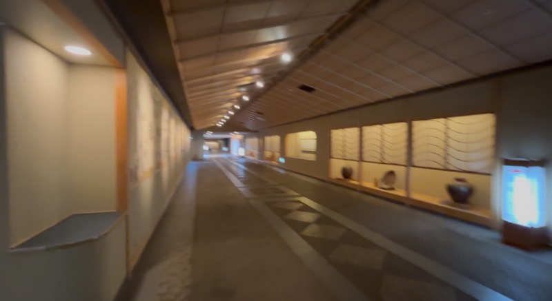 ぼてくりさんのことひら温泉琴参閣のサ活写真