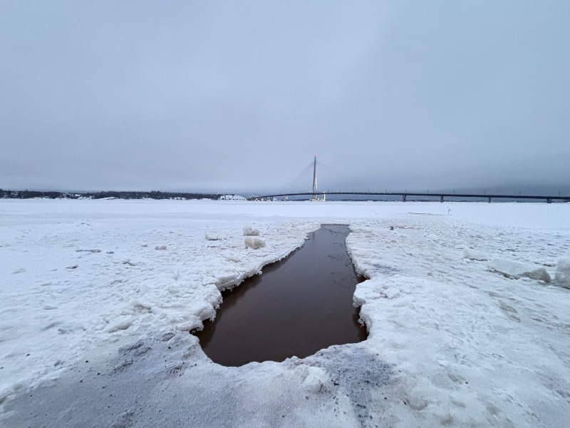 あと1分さんのSompasaunaのサ活写真