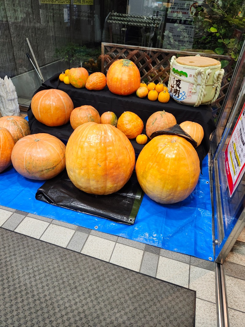 サウって来るわさんの信州健康ランドのサ活写真