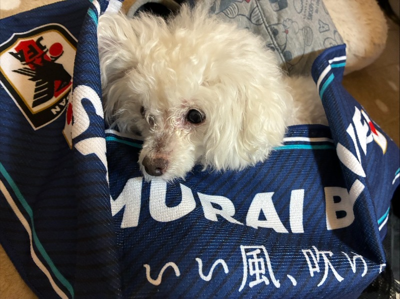 あまみなさんのゆのゆ TOYOHASHIのサ活写真