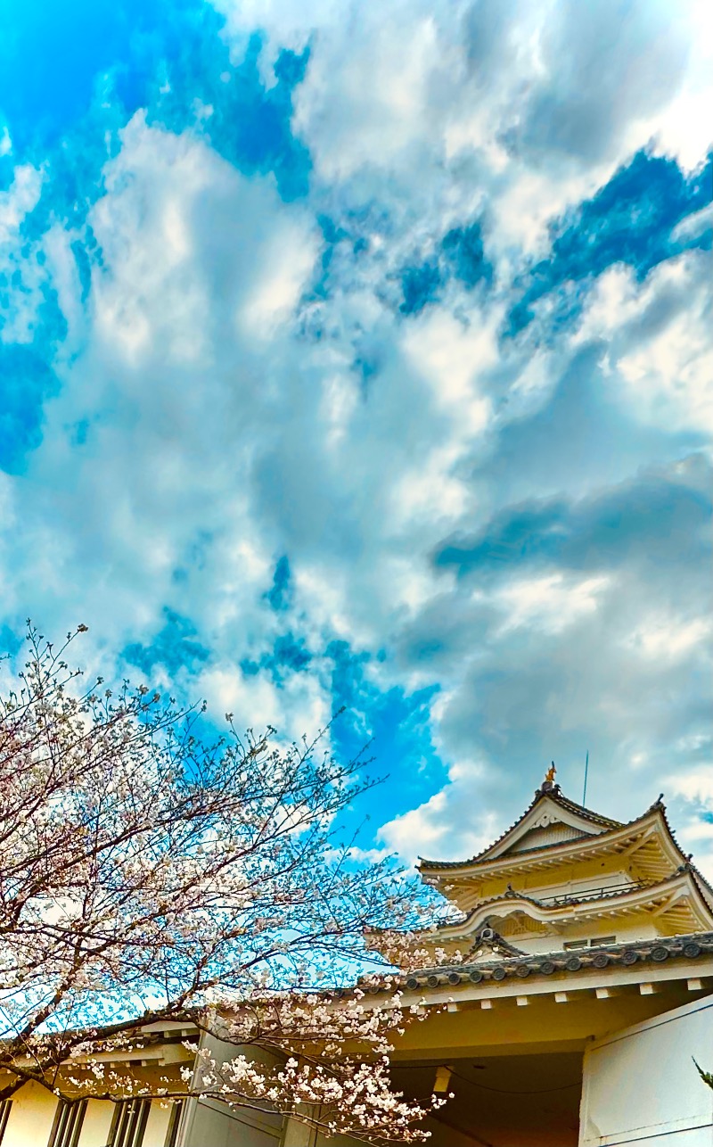 さうなぼーいさんの湯浅温泉 湯浅城のサ活写真