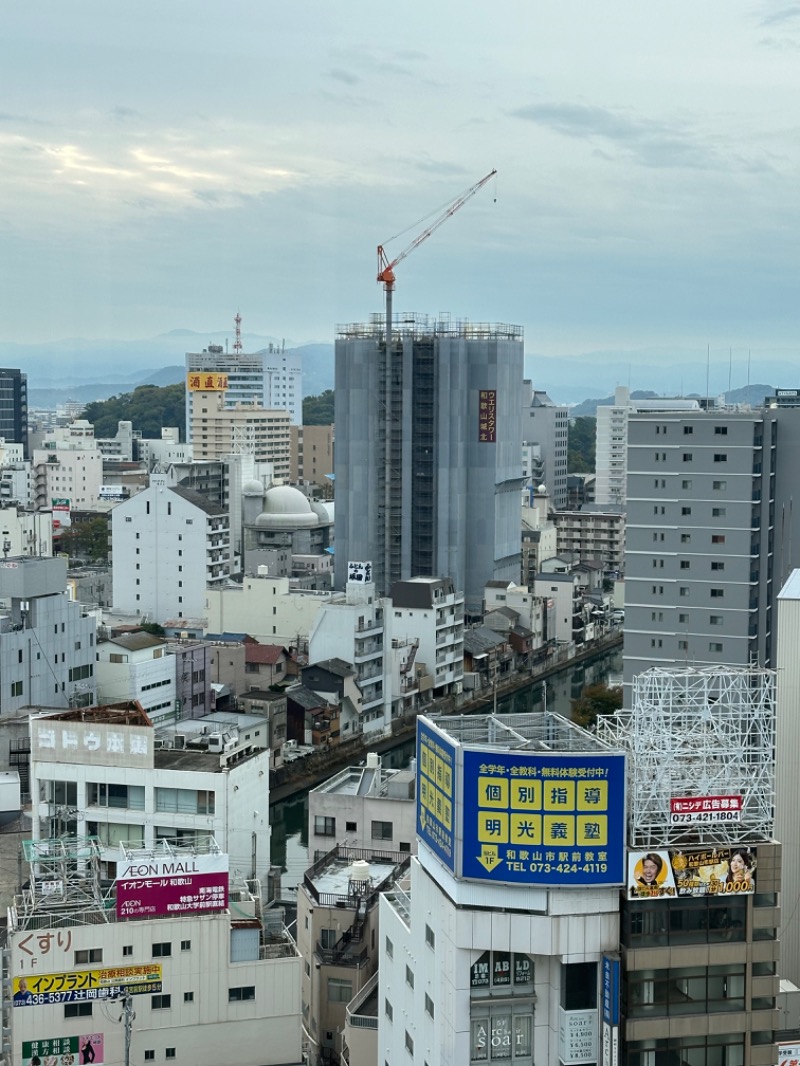 さうなぼーいさんのカンデオホテルズ南海和歌山のサ活写真