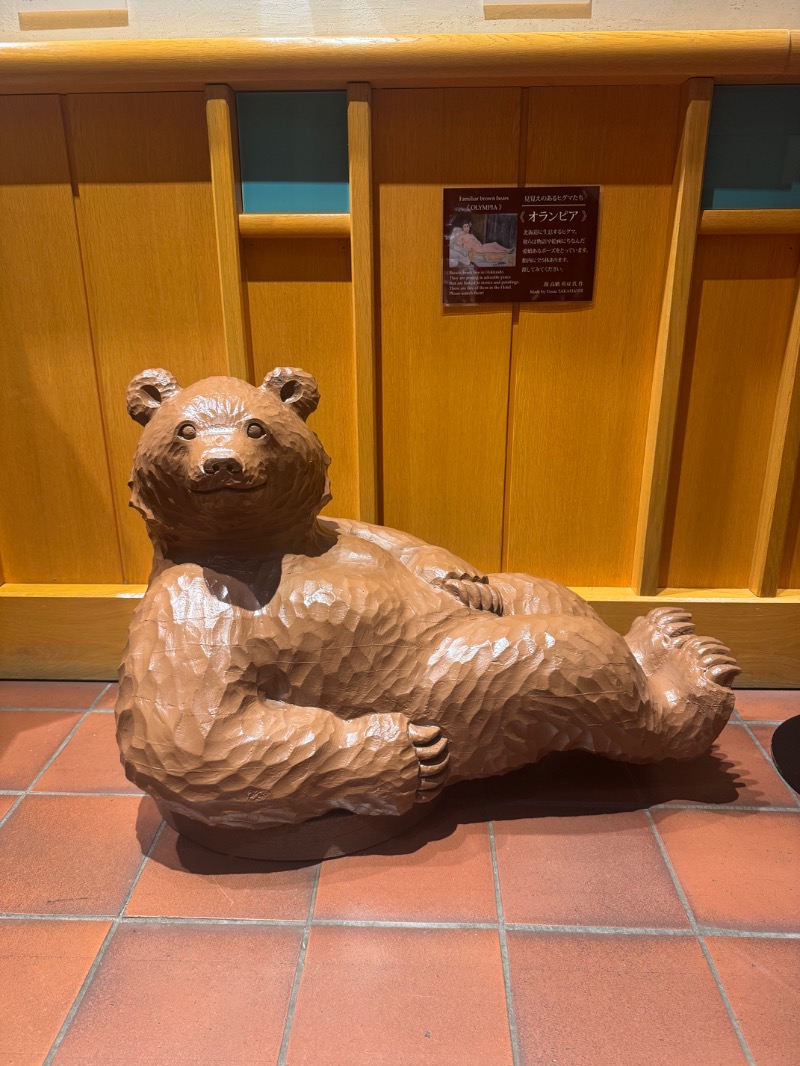 浅はかさんの森のスパリゾート 北海道ホテルのサ活写真