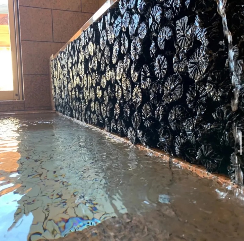 もじゃもじゃさんの天然ラジウム療養泉 華の湯のサ活写真