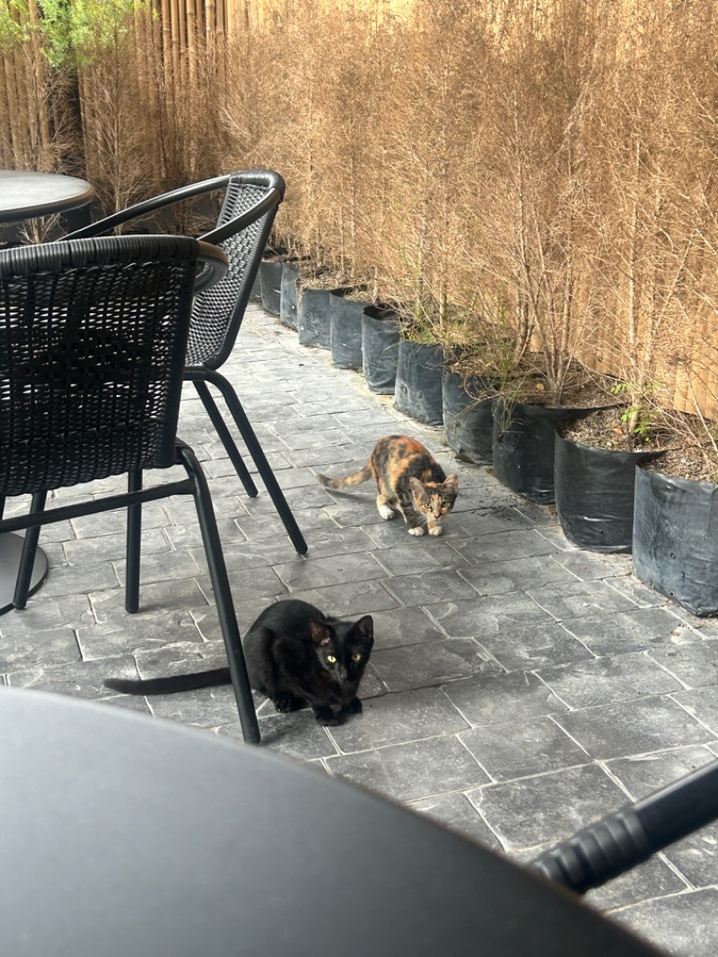 HiroさんのTotonoi Sauna&Onsen Bangkok -整-のサ活写真