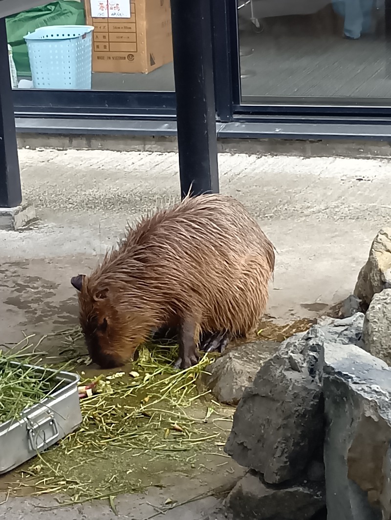 Mr.シャンクさんの石狩天然温泉 番屋の湯のサ活写真