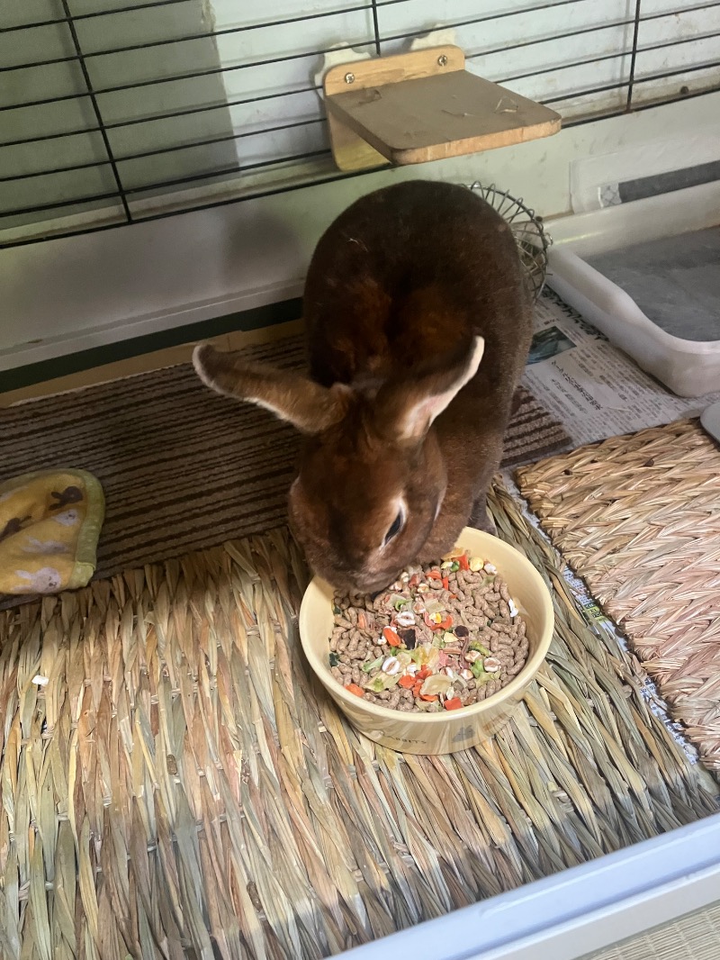 ささ湯さんの深大寺天然温泉 湯守の里のサ活写真