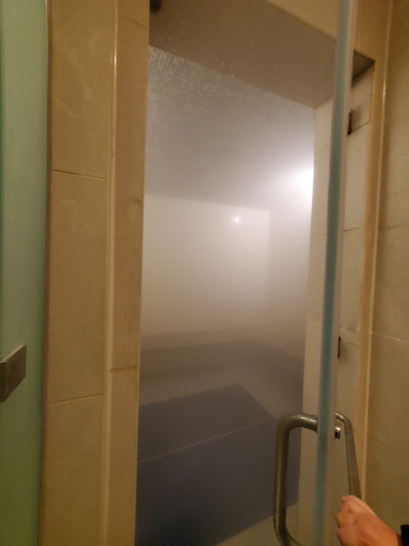 やぎちゃんさんのヒルトン カイロ ザマレク レジデンスのサ活写真