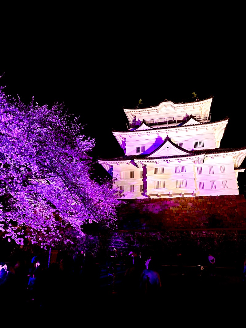 燕党さんの小田原お堀端 万葉の湯のサ活写真