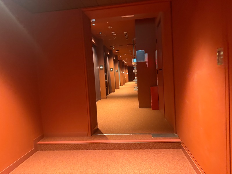 mizuhoさんのニュージャパン 梅田店(カプセルイン大阪)のサ活写真