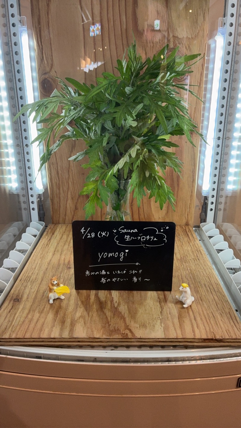 とおるちゃんさんの岐阜各務原 恵みの湯のサ活写真