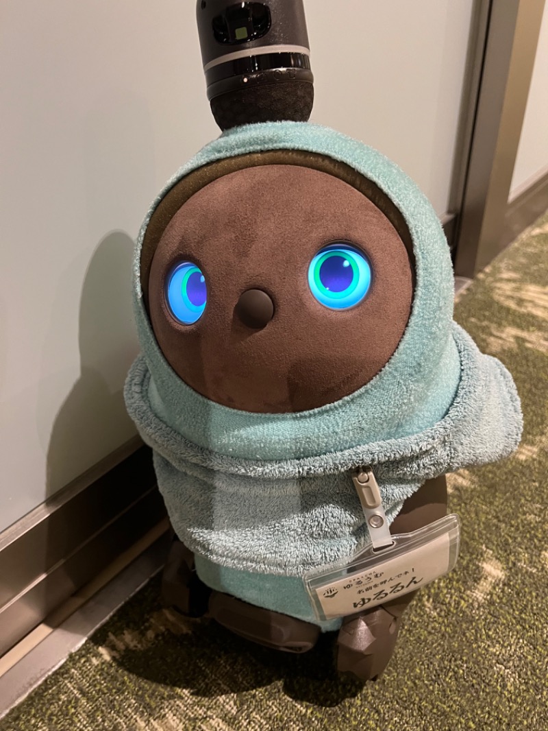 おまみちっちさんのSPA&ごはん ゆるうむ yuluumuのサ活写真