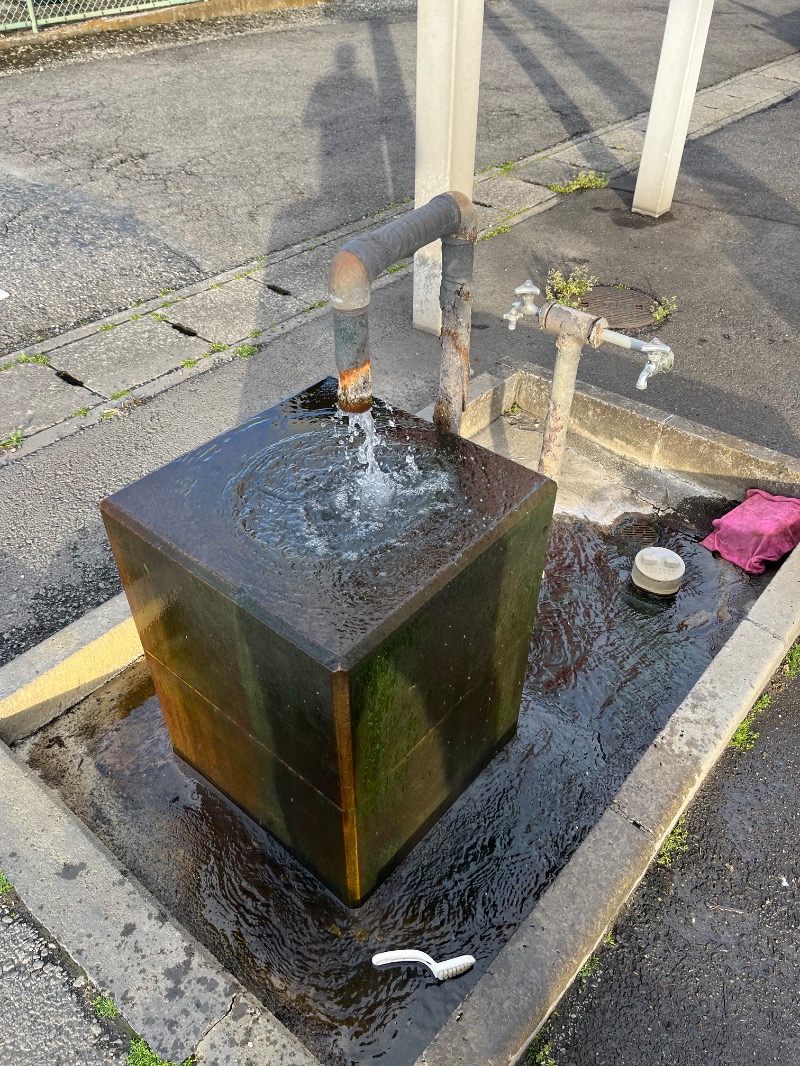 マイナー施設コレクターさんの西那須温泉 那須パレスホテルのサ活写真