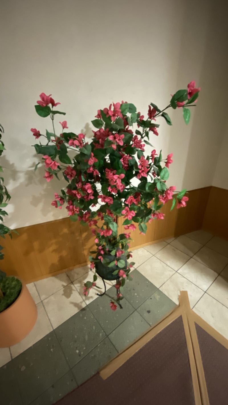 こーじさんの天然温泉リラックスパーク テルメ金沢のサ活写真