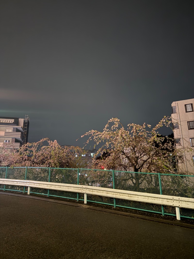 せぶさんの天然温泉 満天の湯のサ活写真