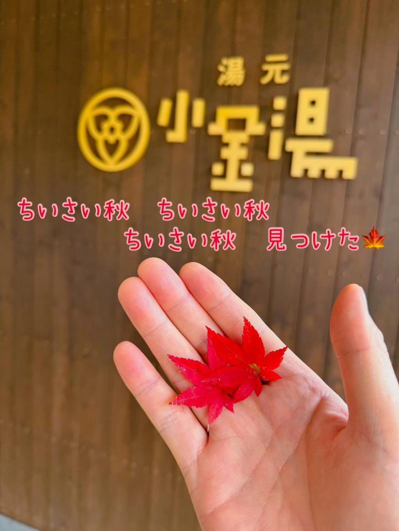 鍛高譚(たんたかたん)さんの小金湯温泉 湯元 小金湯のサ活写真